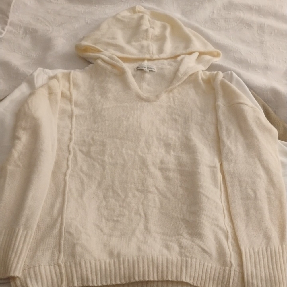 Cozy Cream Hooded Sweater
